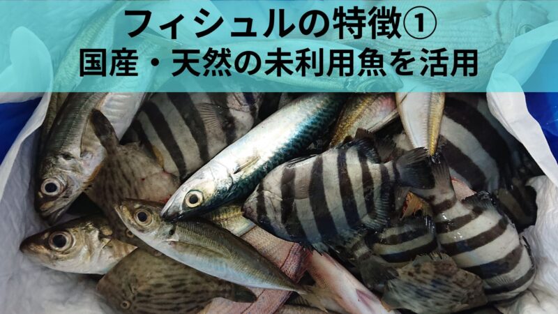 フィシュルの特徴①未利用魚を活用