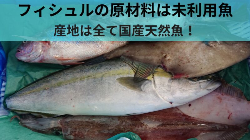 フィシュルの原材料と産地紹介　未利用魚は全て国産