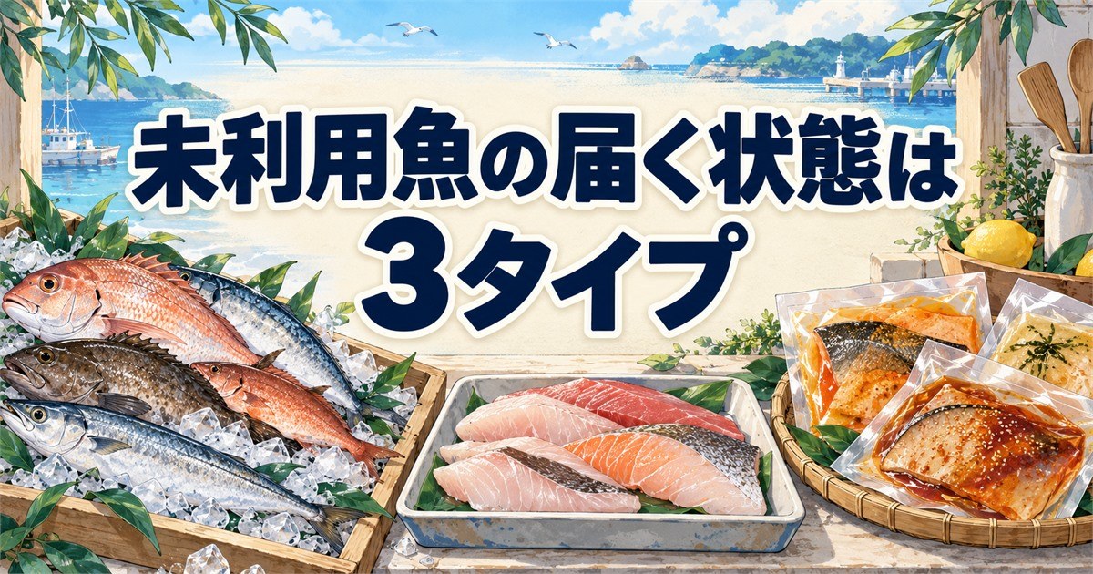 未利用魚の通販で届く、丸魚・切り身・味付き加工品の3タイプ