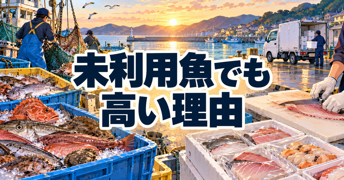 未利用魚なのにフィシュルが高い理由を考える漁港の水揚げと手作業の加工